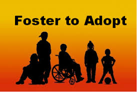 Foster to Adopt